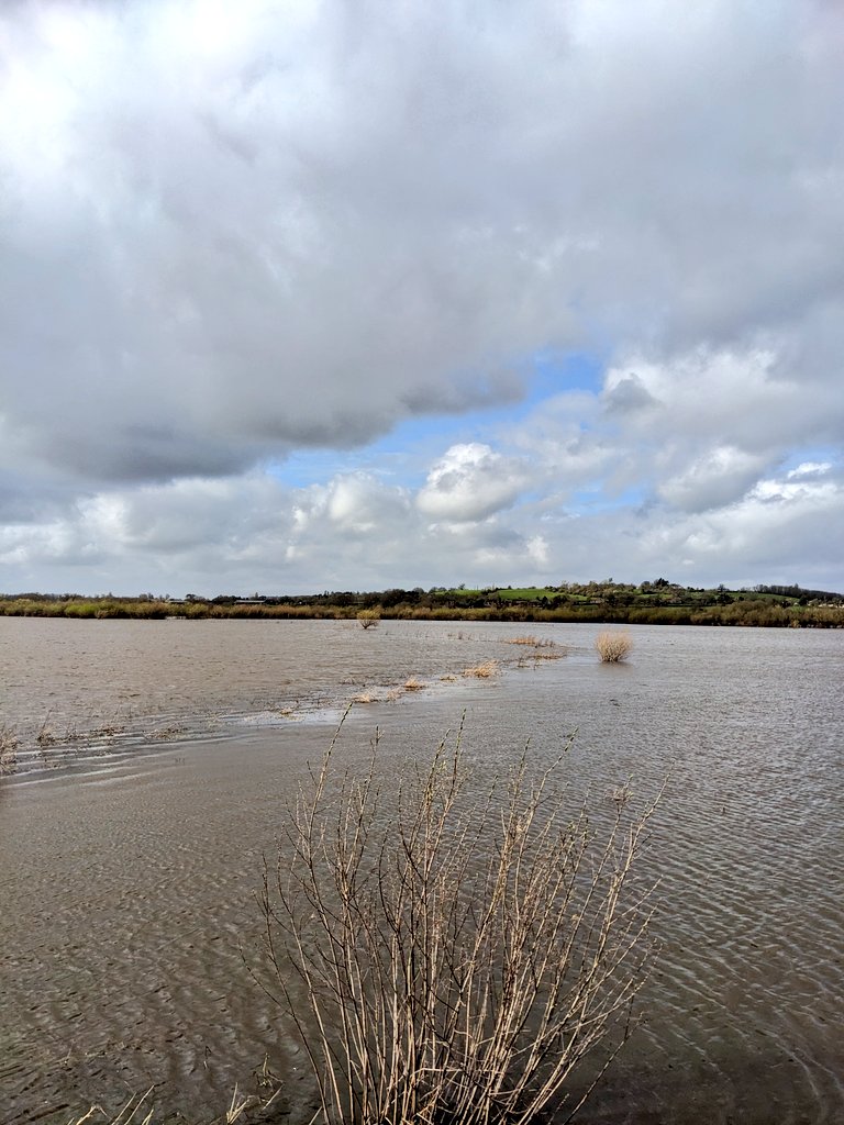 Sam Walker tweet media