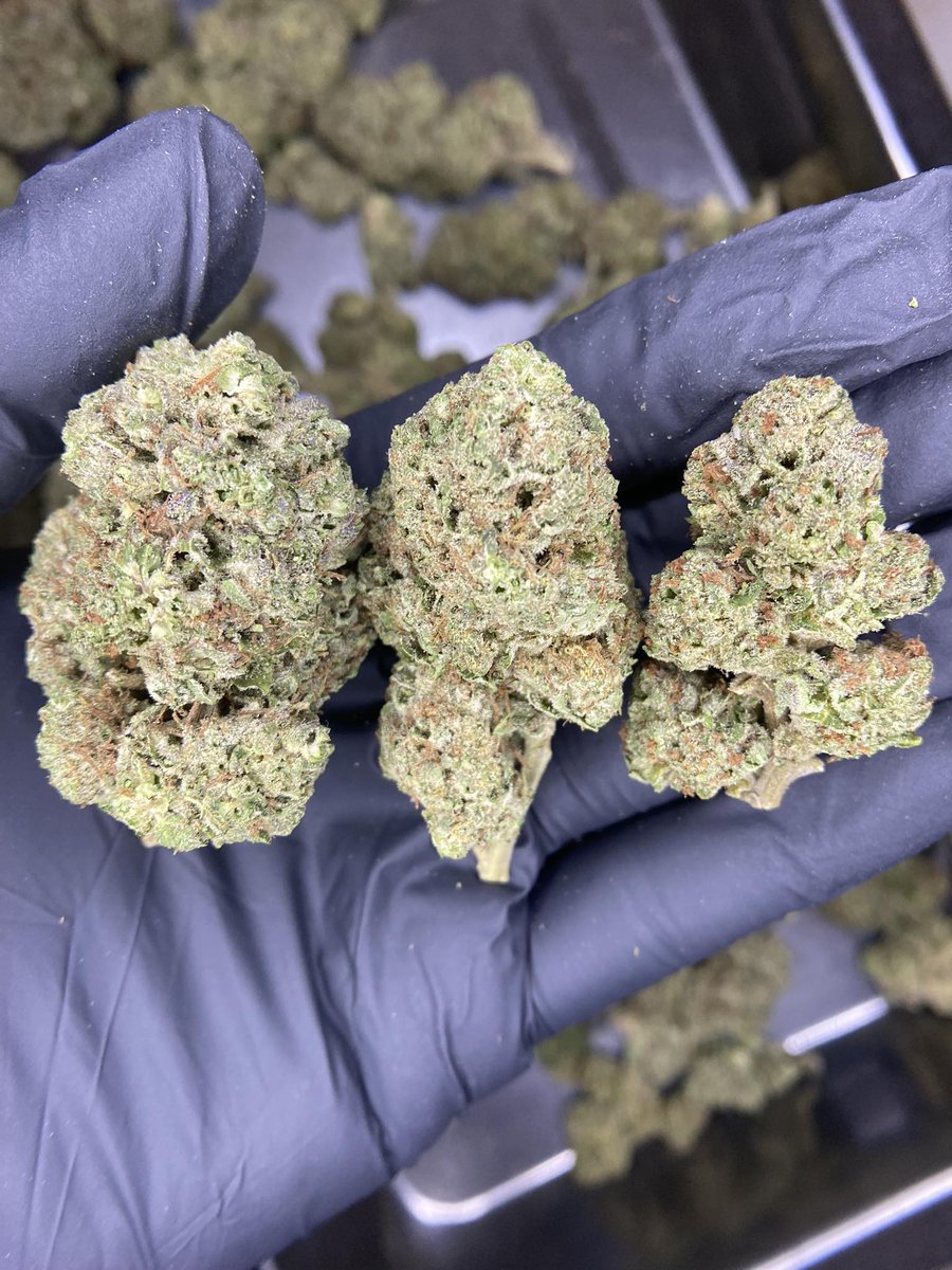 OrderHigh1's tweet image. G/60 marshmallow🧁🎁
#กัญชากรุงเทพ #กัญชาบางบอน #กัญชาพระราม2 #กัญชาเอกชัย