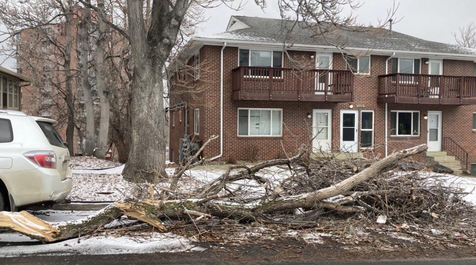 Looks like this spring storm has ended, Boulder!

Now, you may have downed tree limbs in your yard from the snow. Learn all about who's responsible for what when it comes to clearing downed trees ➡️ ow.ly/xLOi50QUvmW
