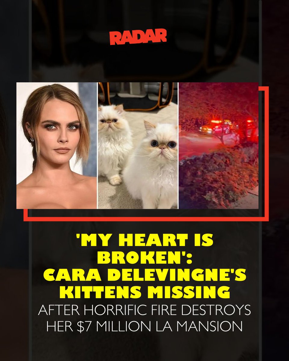 radar_online's tweet photo. #CaraDelevinge's precious kittens are missing after a devastating fire. Hit the link for all we know.
https://t.co/MtVZpNIKJX
(📸: IG/MEGA) https://t.co/MECkTwMpvI