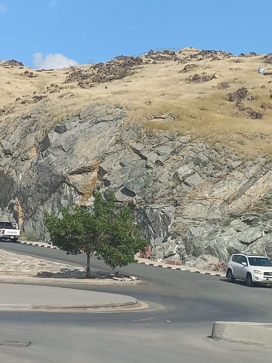 Syed M Mehdi tweet media