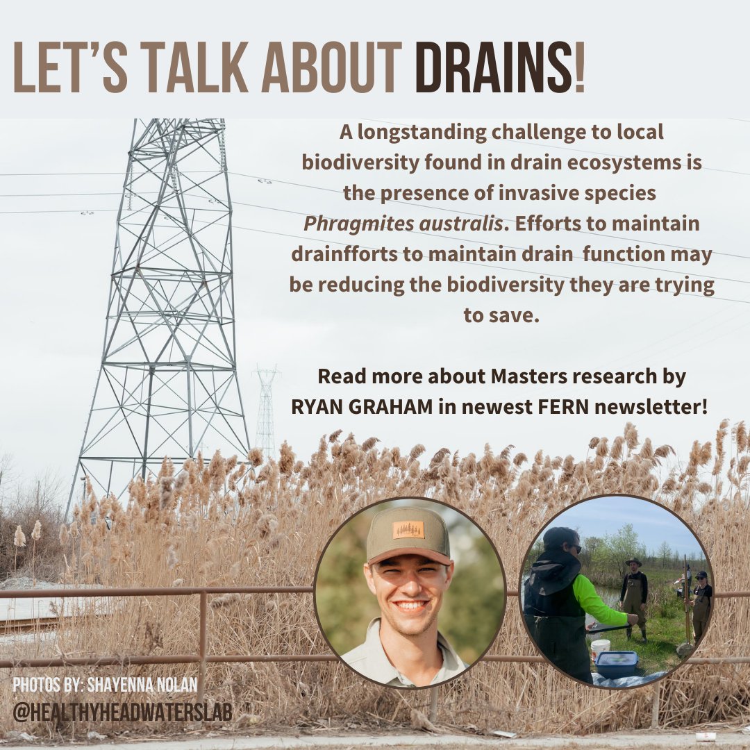 The Healthy Headwaters Lab tweet media