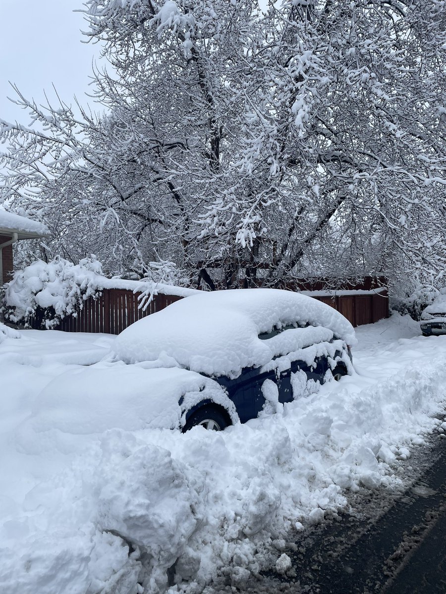 Jonathan Beverley tweet media