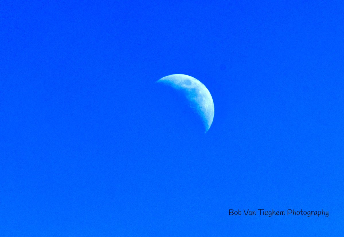 BobVanTieghem's tweet photo. The moon was still in the sky at noon today.  #nikonphotography https://t.co/oZaXAX359Q