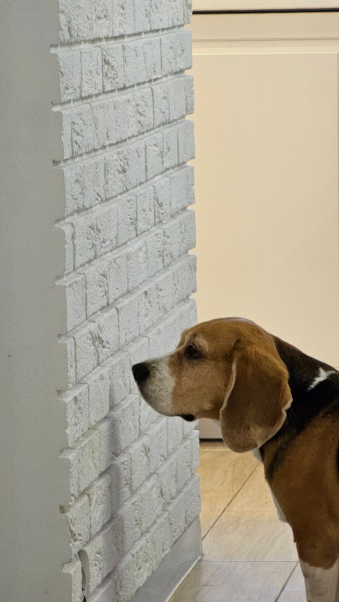 ConDec16's tweet image. Każdy ma swoją ścianę płaczu... 
#foch