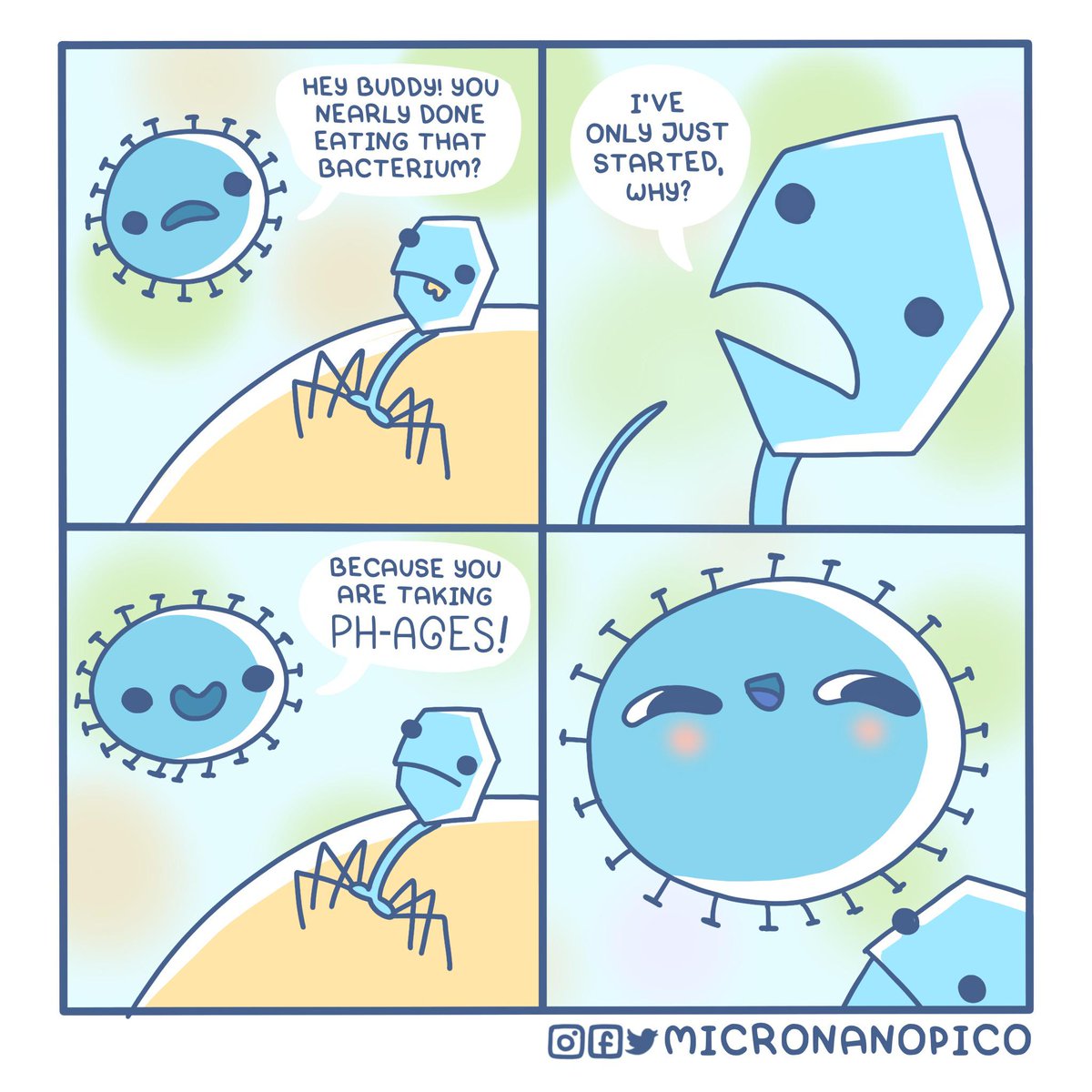 Zara Al-Zubaidy tweet media