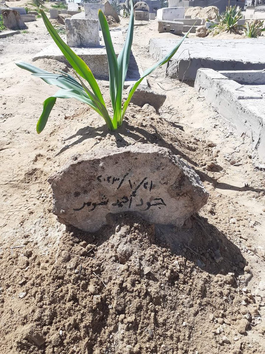 Joud, who was killed by the Israeli army, was buried today after spending 147 days under the rubble in #Gaza . She spent more time under the rubble than above it while she was alive ‼️ h/t @Jales_tinian2