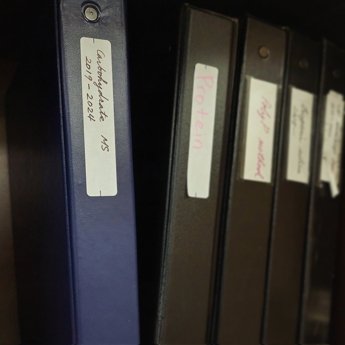 Dr. Ying-Yu Hu (Ruby) tweet media