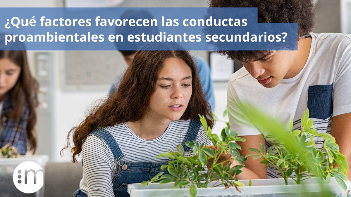 Nuestro investigador Daniel Miranda presentó en #CIES2024 un artículo que explora las brechas de género y socioeconómicas que se manifiestan al estudiar la disposición de los estudiantes de hacer esfuerzos personales para ayudar al medio ambiente. Revisa los resultados de este
