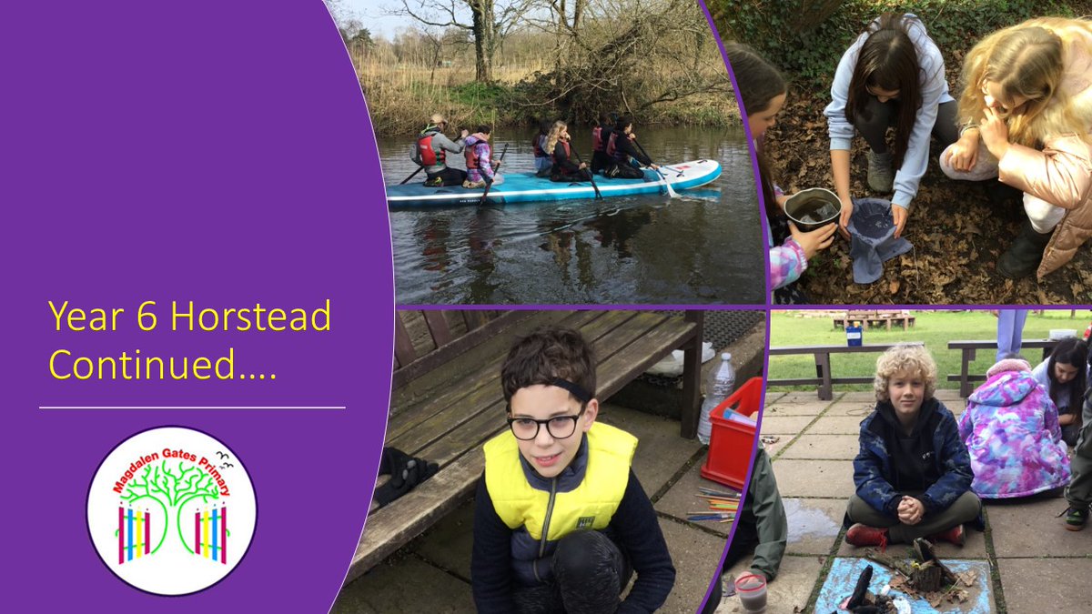 Such a fabulous week Year 6 had last week @ Horstead. SUPs, Canoeing, Bush Craft, Natural Art to name just a few of their activities. #SchoolTrip #Residential #Year6