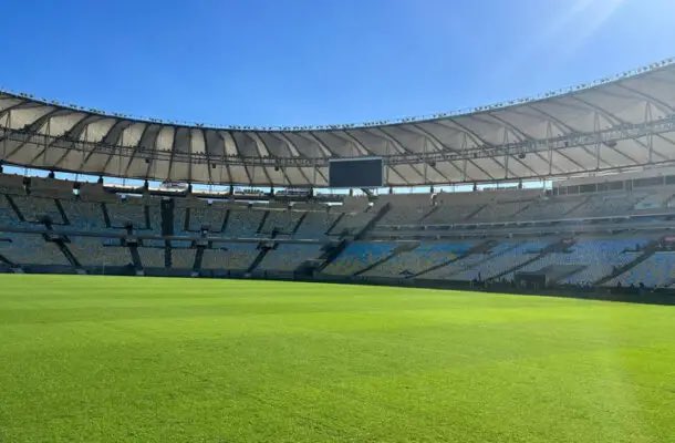 Venê Casagrande tweet media