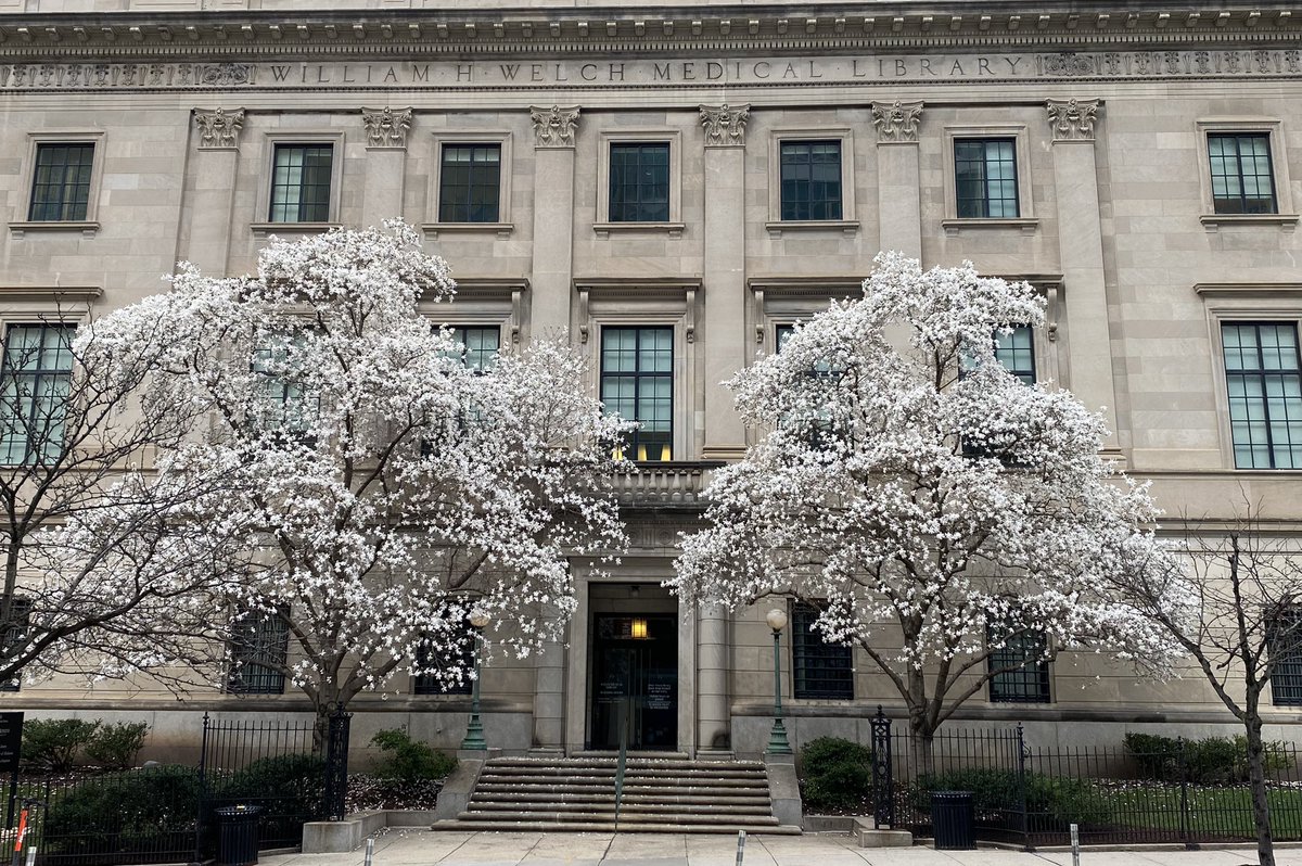 Meghan Davis (@meghandavisdvm) on Twitter photo Blink and you miss the blooms outside Welch Library <a href="/JohnsHopkinsSPH/">Johns Hopkins Bloomberg School of Public Health</a> Blink and you miss the blooms outside Welch Library <a href="/JohnsHopkinsSPH/">Johns Hopkins Bloomberg School of Public Health</a>