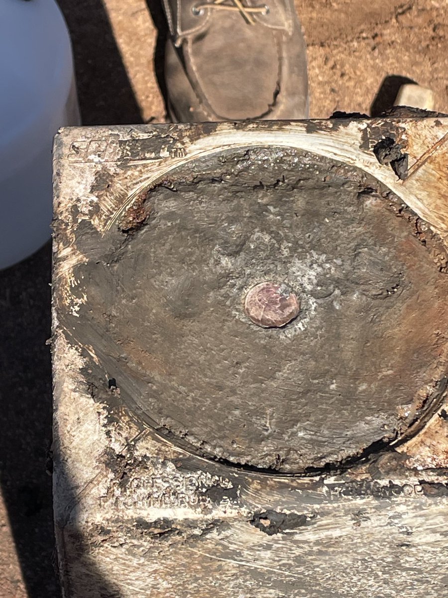 Kernels Grounds Crew tweet media