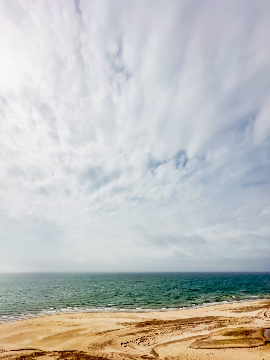 Today’s Great Island adventure in Wellfleet took a turn when I collected 3 tick souvenirs 🕷️🕷️🕷️. Now, the drive home feels like a suspense thriller with every itch.
#TheTickening 🚗👀
#wellfleet #capecod #ticks