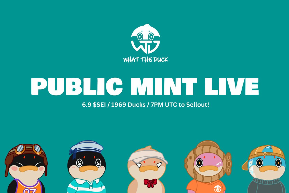 What The Duck tweet media