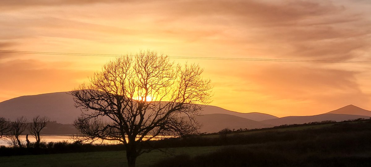 numoorepain's tweet photo. Unedited sunset
So needed 😊 and tomorrow is a new day #Dinglesunset https://t.co/uTjsepuBHu