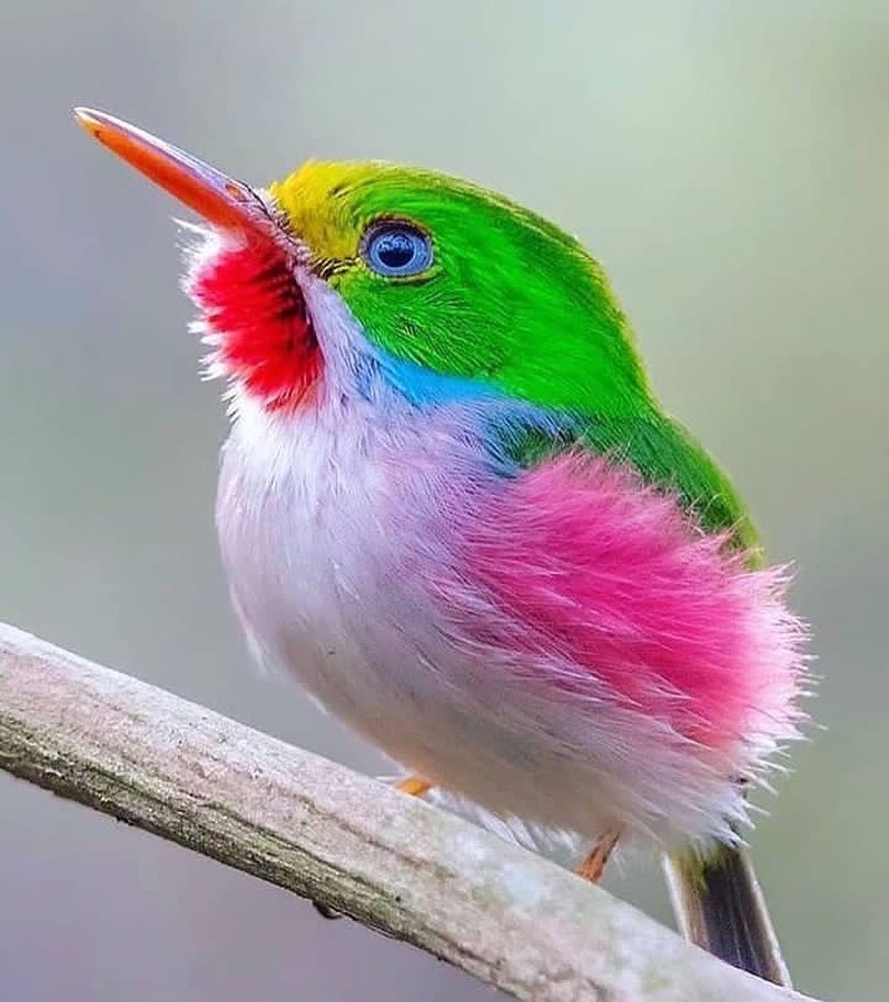 GIu8eEJaIAAddot?format=jpg&name=medium