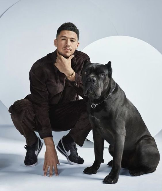 SoleRetriever's tweet photo. UP CLOSE LOOK: Nike Book 1 Haven 🐕
Inspired by Devin Booker's Cane Corso, Haven
🗓️April 6th
📝 FJ4249-001
💵 $140 https://t.co/qqOhW91Rcj