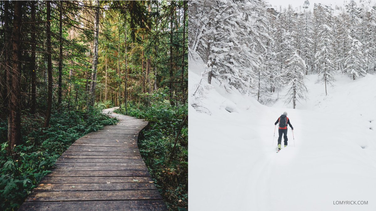 The power of being proactive and repetition: Your brain will default to your old pathways & habits - like the image on the left. When you want to make better decisions, it's like backcountry cross-country skiing - you have to forge your own path & be purposeful about it daily!