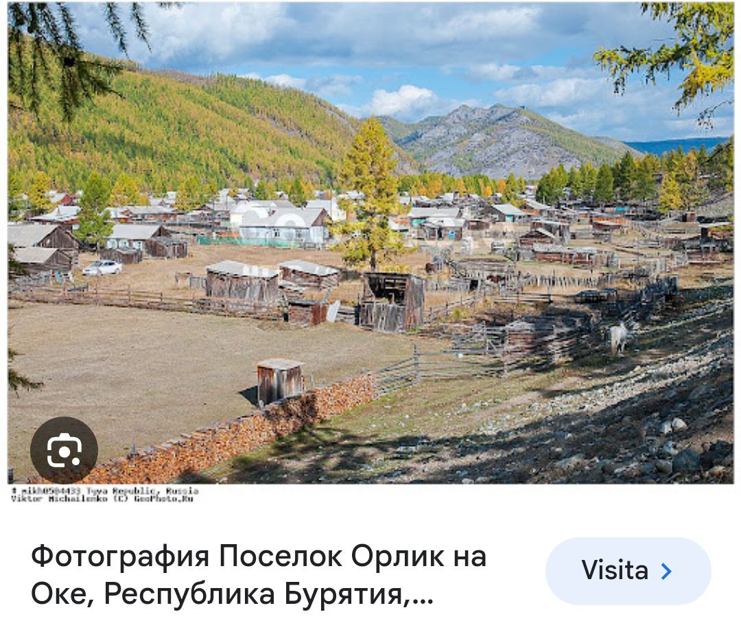 slipper_black's tweet photo. На гастролях блядского цирка под названием "выборы путина", ещё и не такое можно увидеть.

Зю: если что, село, которое на самом деле является посёлком из трёх улиц и четырёх калек, где сняли это видео, находится в жопе мира заболотья (в буквальном смысле).
#в_мире_животных https://t.co/dJv4q5s4Pv