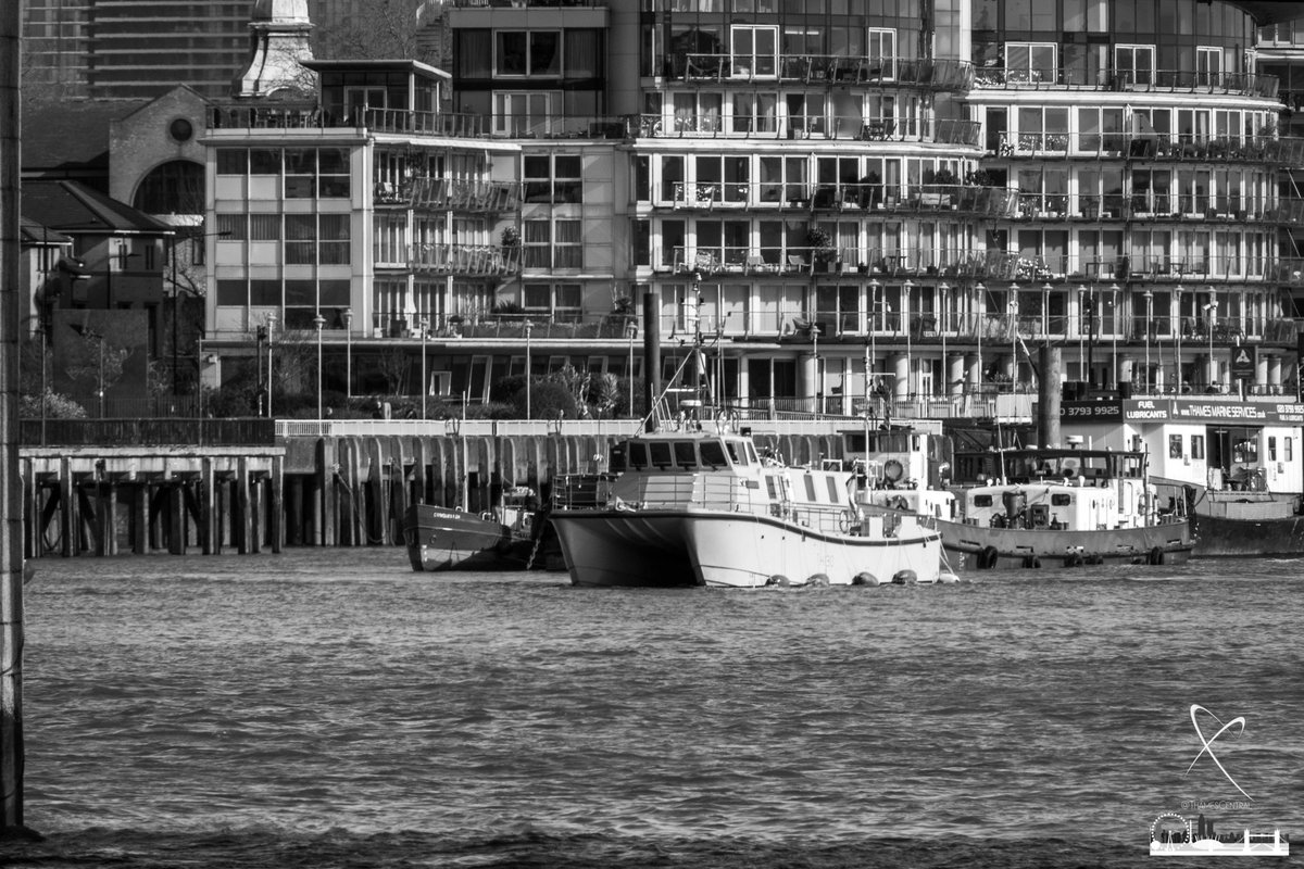 David Nathan tweet media