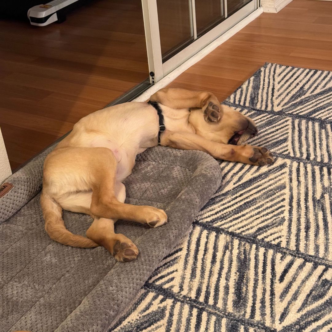 PROFILES tweet media