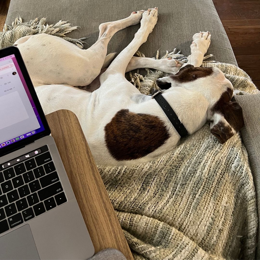 PROFILES tweet media