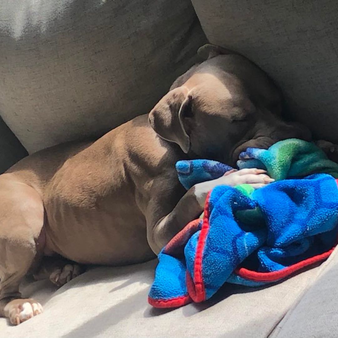 PROFILES tweet media