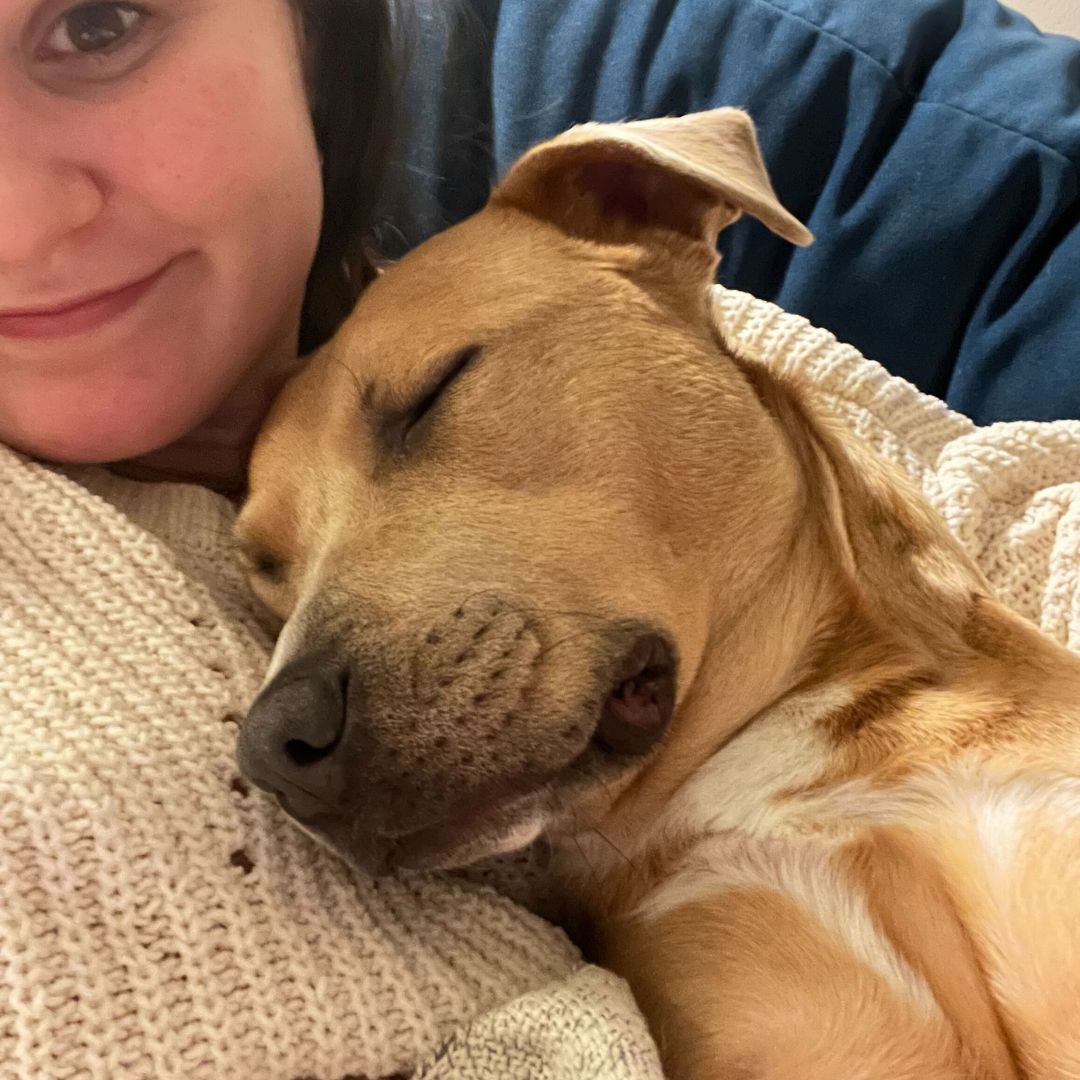 PROFILES tweet media