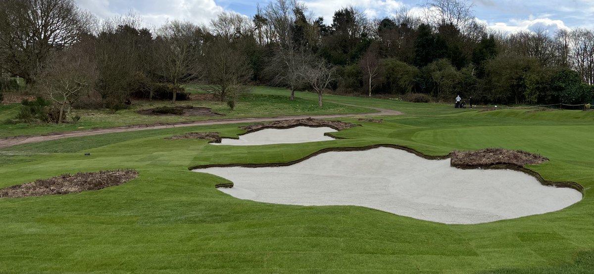 sam wardill tweet media