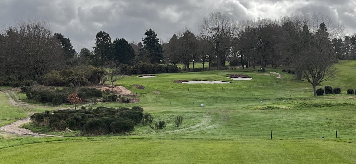 sam wardill tweet media