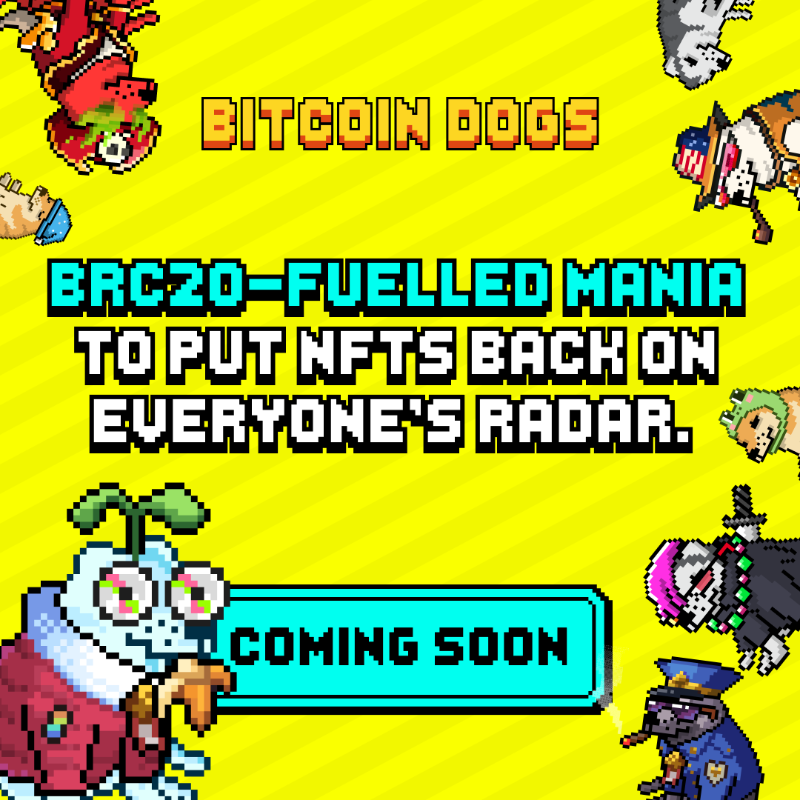 BitcoinDogsClub's tweet photo. 🐕✨ Unleashing the future of NFTs with #BitcoinDogs! 

Get ready for the BIGGEST EVER Bitcoin NFT drop - 10,000 uniquely crafted dogs, boasting a spectrum of rarities and collectability!🤯

Our BRC20-powered collection is set to redefine the NFT space!🚀