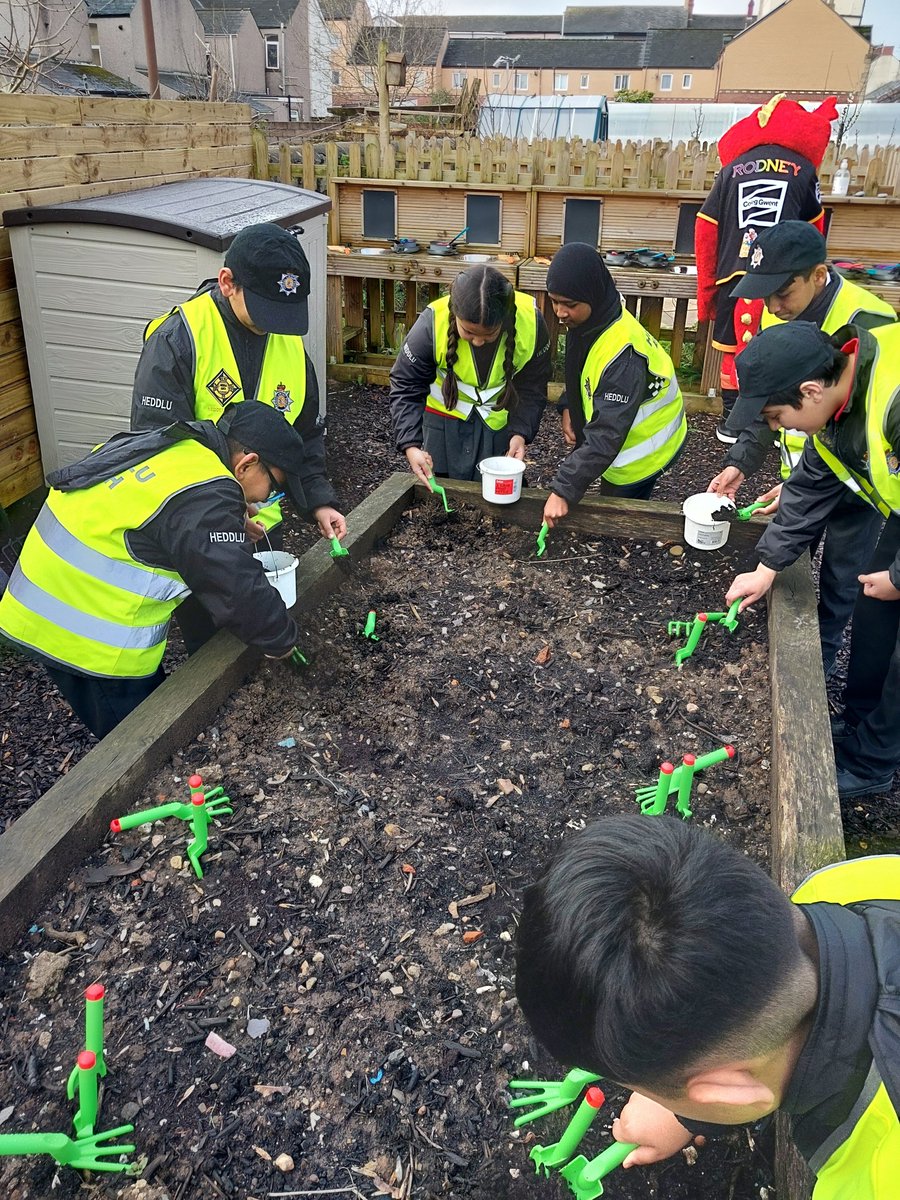 Pill CSOs visited the Pill Unity Gardens on Portland Street with the Pill Primary School Heddlu Bach pupils and Newport City Homes today.

The pupils were trying out the new garden tools and had lots of fun.

#HeddluBach #ProtectAndReassure #CommunityEngagement #CO01 #CO409