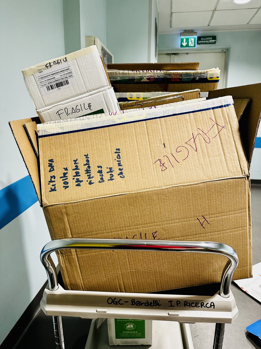 Francesco Boccalatte tweet media