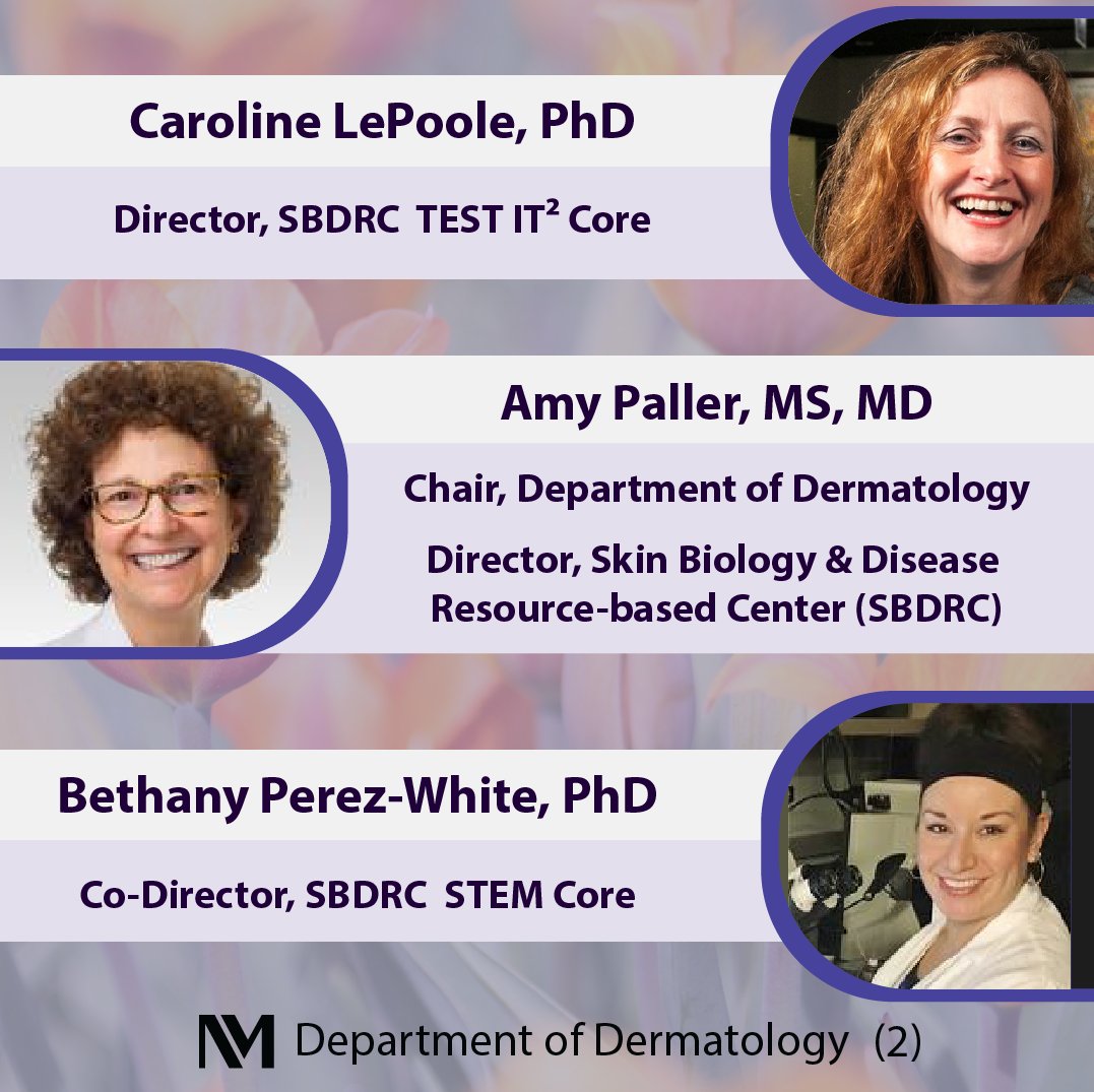 NUFeinbergDerm's tweet photo. This #FollowFriday we honor the women in our department who are making history as #dermatology researchers and educators!

@MDJenniferChoi
@KathyGreenLab 
@CarolineLePoole
@paller_lab
@PerezWhiteLab
@JRileyMD
@lidazheng 

#FF #WomeninSTEM #dermtwitter #MedEd #WomensHistoryMonth https://t.co/lDnwudPukz