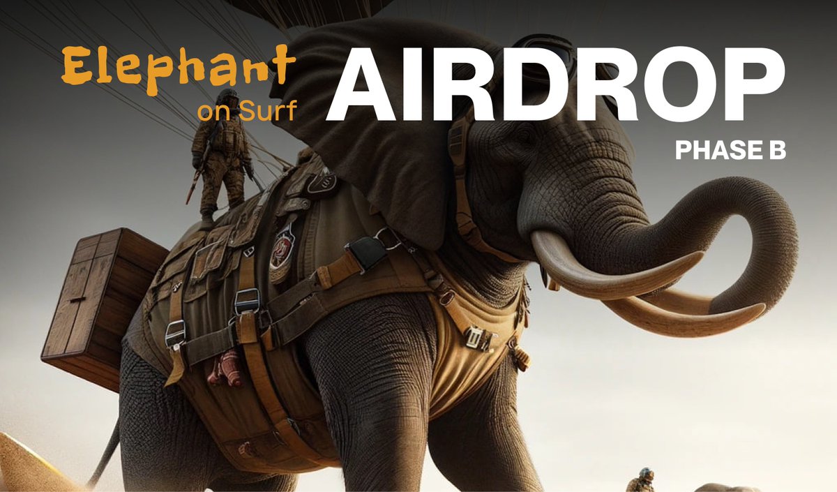 Elephant on surf tweet media