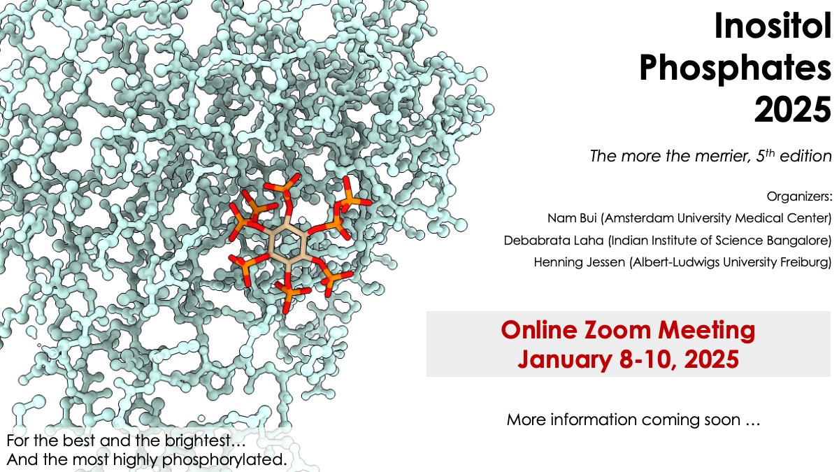 The annual zoom meeting of the inositol phosphate community will take place in January 2025 (8-10). Mark your calendars for this densely phosphorylated event!