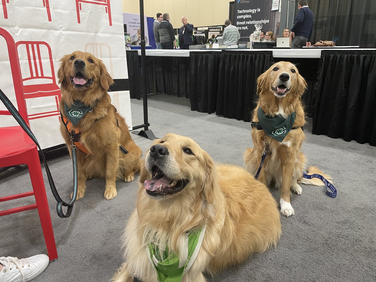 MACUL's tweet photo. Therapy dogs are in the MACUL Zone! #macul24 https://t.co/e8hyNI1ec8