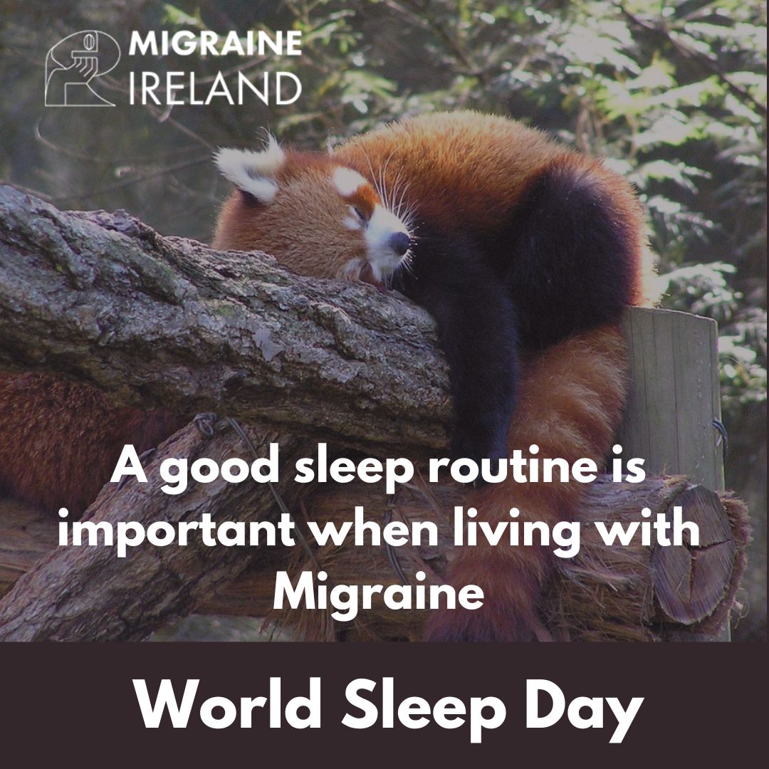 Beware the Ides of March!! Today, March 15th is not to be feared, in fact, it is to be embraced 😆Today is World Sleep Day. 😴 Good sleep hygiene is essential for people living with migraine. #WorldSleepDay #notjustaheadache #migraine #sleeping #brainawarenessweek2024