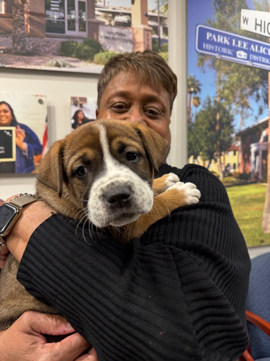 PHXHousing's tweet photo. Yesterday we took a "paws" during the lunch hour for a little puppy therapy. The impact on our team was amazing! Thanks to @AZK9Rescue for bringing in these adorable babies.

#puppyhour #mentalhealth #reducestress #employeewellbing https://t.co/5bAPy3gXMQ