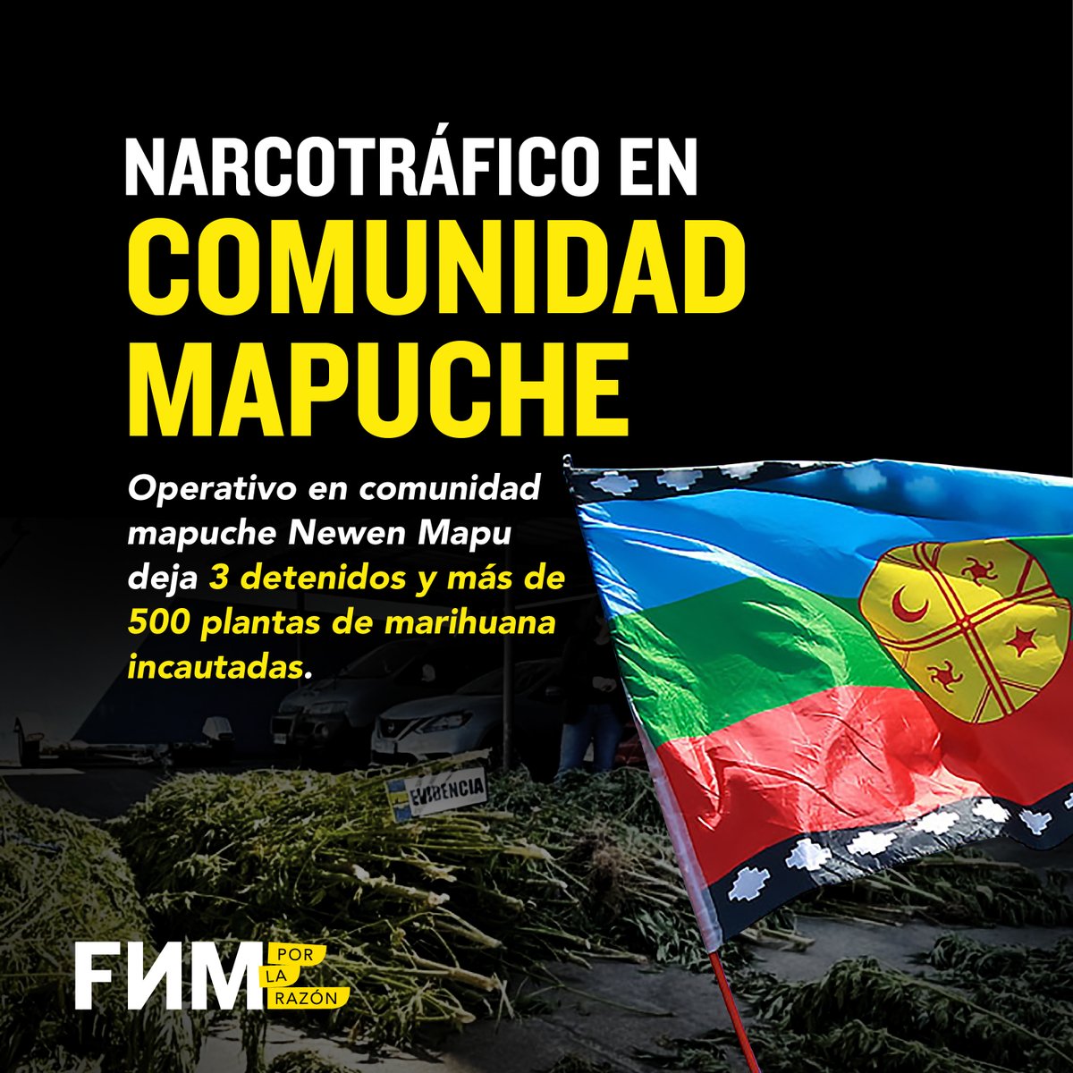 🚨 NARCOTRÁFICO EN COMUNIDAD MAPUCHE

Operativo en comunidad mapuche Newen Mapu deja 3 detenidos y más de 500 plantas de marihuana incautadas.

🧵👇