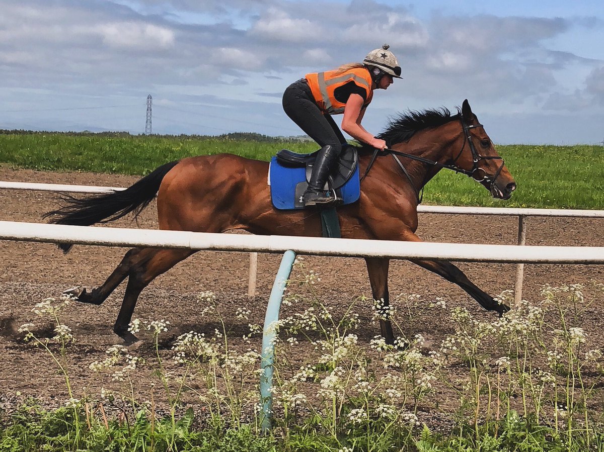 We’re @WolvesRaces with Water Of Leith & @SummerstormBlo1’s Lochnaver, @Rossaryan15 & @Luke_Morris88 ride & @NewcastleRaces Faylaq, Scott & @jimmyfyffe’s Geremia(pictured), Sound Of Iona & Rory run @PMulrennan , @_MarkWinn & @amie_waugh90 ride!