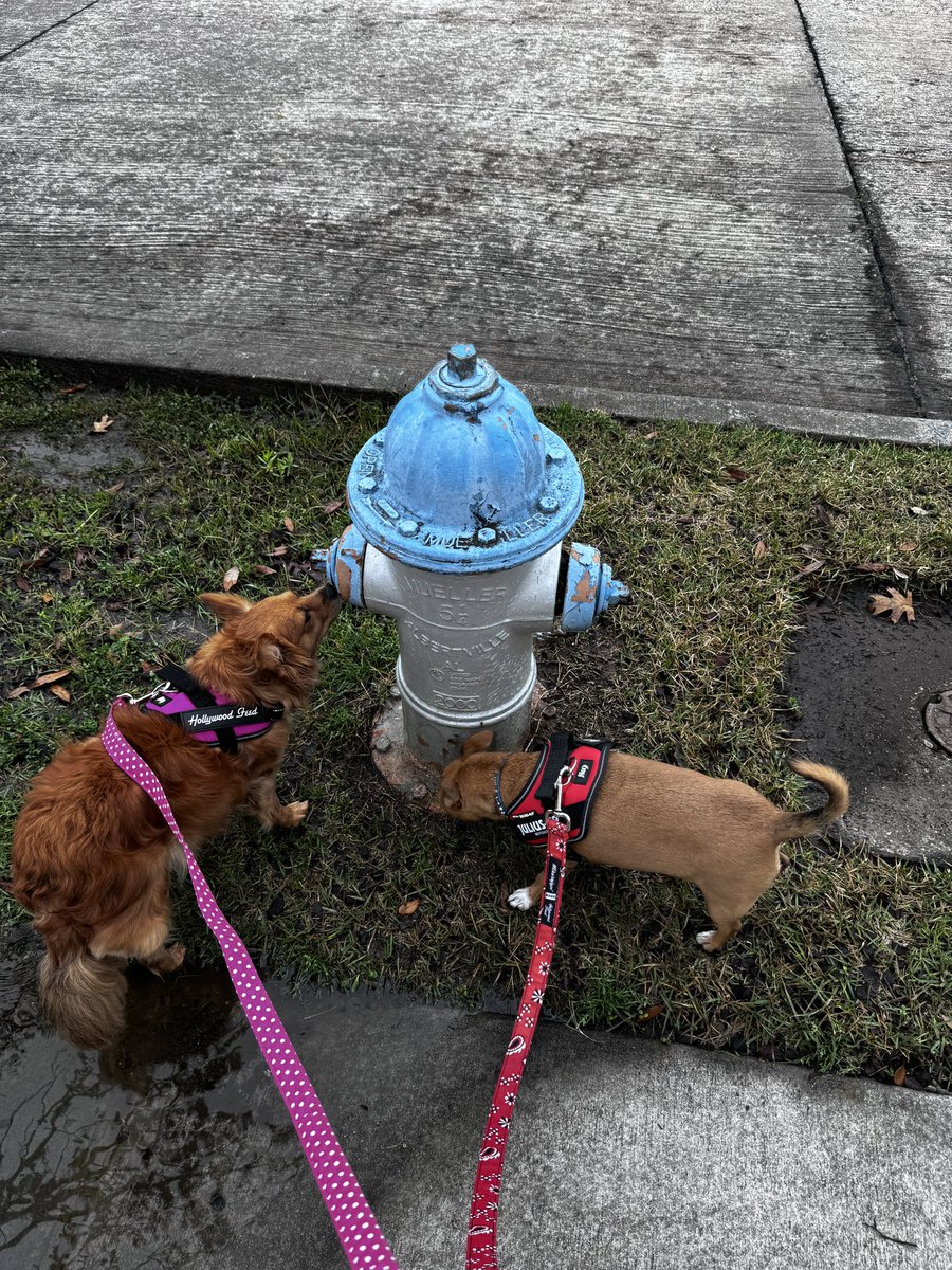 This is the  hydrant that saved us- things are different now. Always have a plan &amp; practice it. Talk about the what -ifs. thankfully we did. sleep in something you can escape in, keep shoes by your bed.  #slowpheonixrising