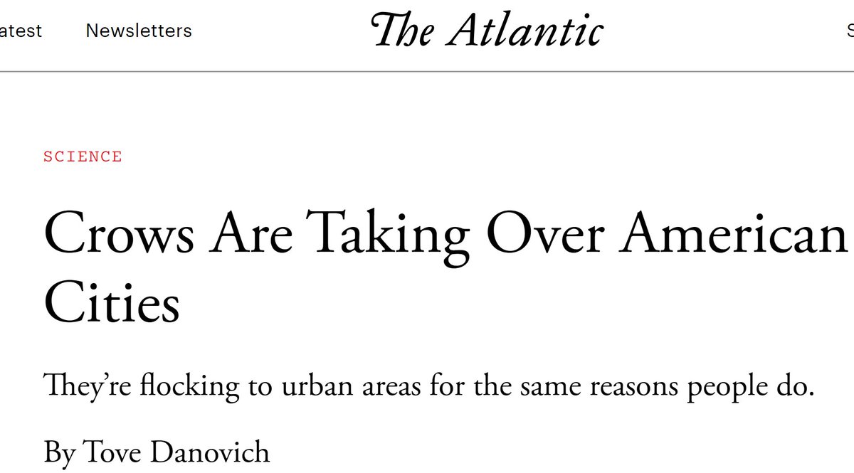 KeithNHumphreys's tweet image. Cities face rising murder rates
