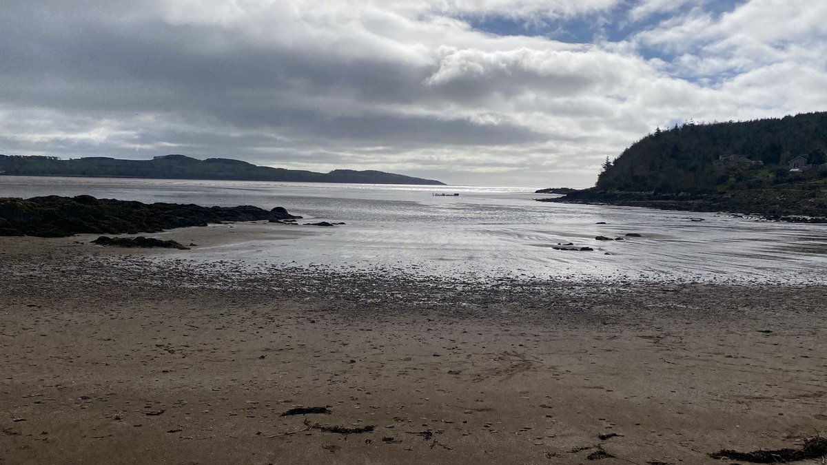 We’re working towards our next Green Flag, so P6/7 cycled to Dhoon Beach today for a beach clean. We collected over 10kg of rubbish! Thank you <a href="/SustransScot/">Sustrans Scotland</a>  <a href="/KSBScotland/">Keep Scotland Beautiful</a> 🤩 ☀️🌊🏝️🚲👍