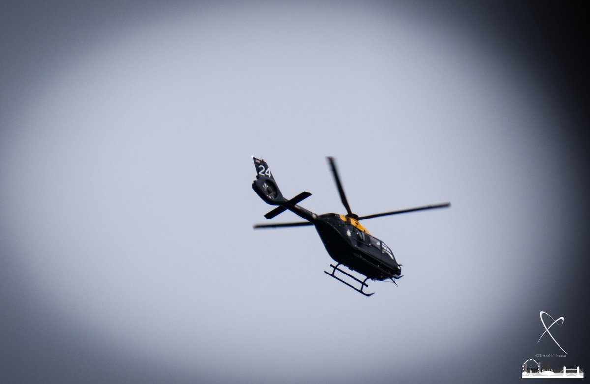 David Nathan tweet media