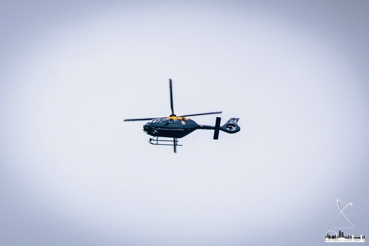 David Nathan tweet media