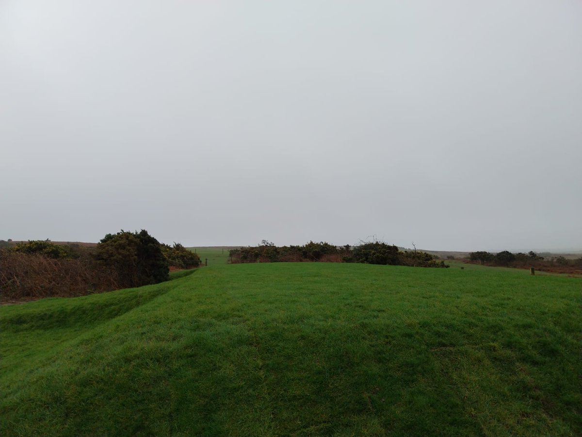 ClyneGolfClub's tweet photo. Great work by our Greens team, who have turfed the newly elevated men's and ladies' front tee on the 7th this week.
A big improvement to the hole. ⛳️ https://t.co/DqNb3FBgHv