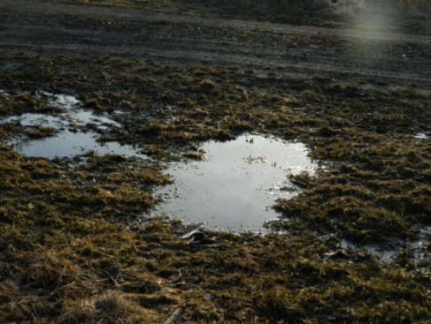 ServiceLinePtnr's tweet photo. Mark found a puddle in his front yard. What he didn't know was that it could end up costing $3,000.

#money #home #water #plumbing
https://t.co/NuiTEAUGDA https://t.co/Y7wKOjEC1Y