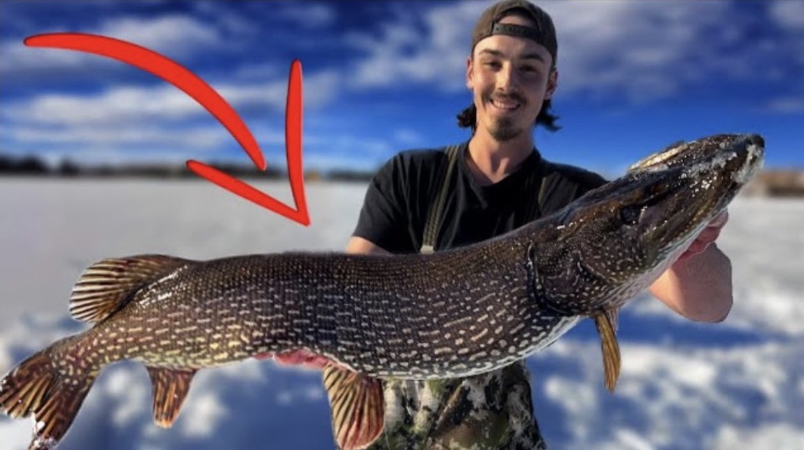 youtu.be/0dHZmdGUSO0?si…

youtu.be/0dHZmdGUSO0?si…